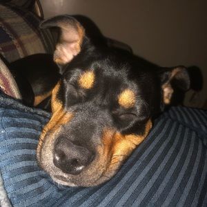 Meet your Posher, Kaylee